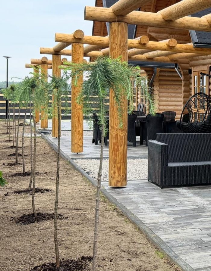 domy do wynajęcia radawa